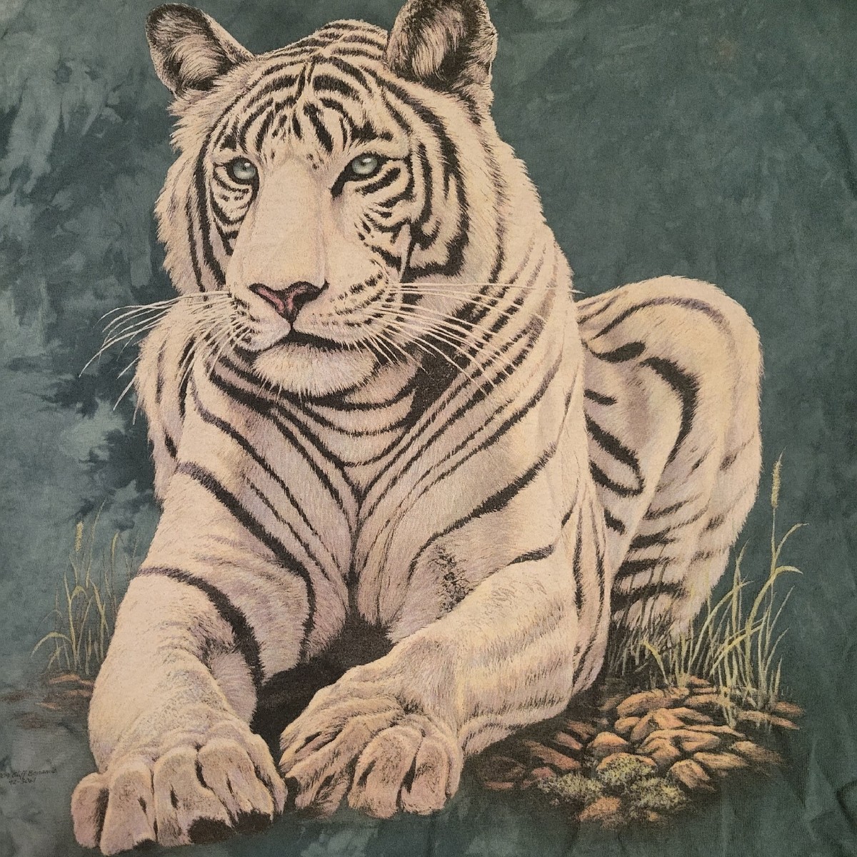 JIMBEAR PRINT T White／jimwag $_12.JPG?set_id=880000500F