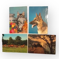 4x Ansichtskarten TIERE: Katze, Hund, Pferde, Esel gereist 70er Jahre