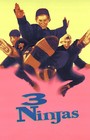 BB0027 3 Ninjas Film By Jon Turteltaub 1992 Movie Poster 11x17