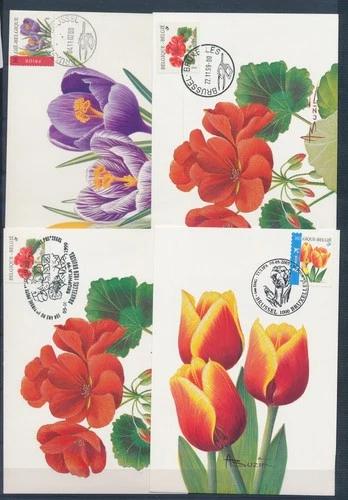 XE59658 Belgium 1999 -2005 flowers nature maxicards used