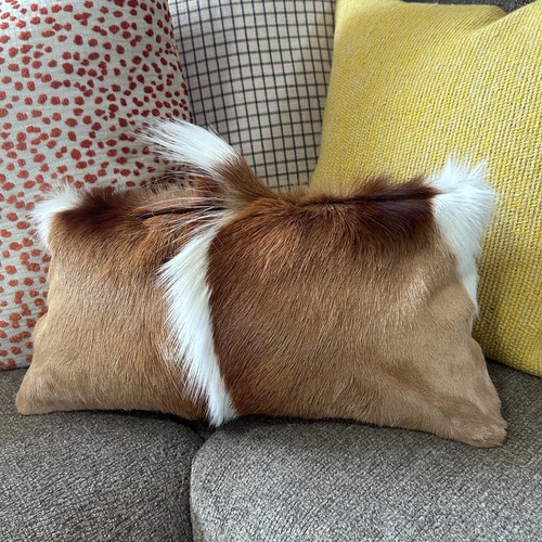 Springbok Pillow Case Size: 17x10" Springbok Cushion Case -Suede Backing - Picture 3 of 6