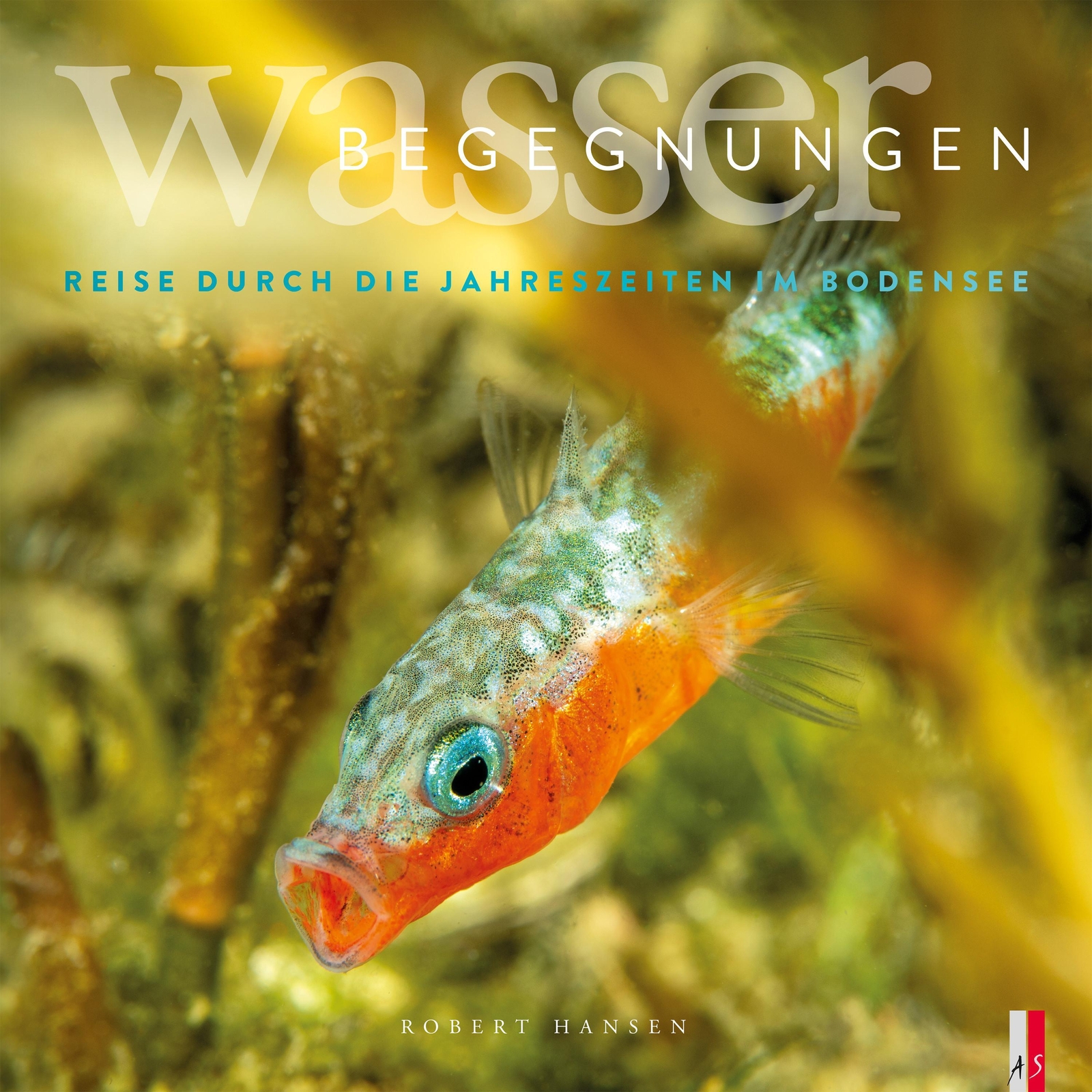 Thumbnail - Wasser Begegnungen Robert Hansen