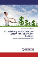 Abdelrahman Mosaad Khattab | Establishing Multi-Objective System For...