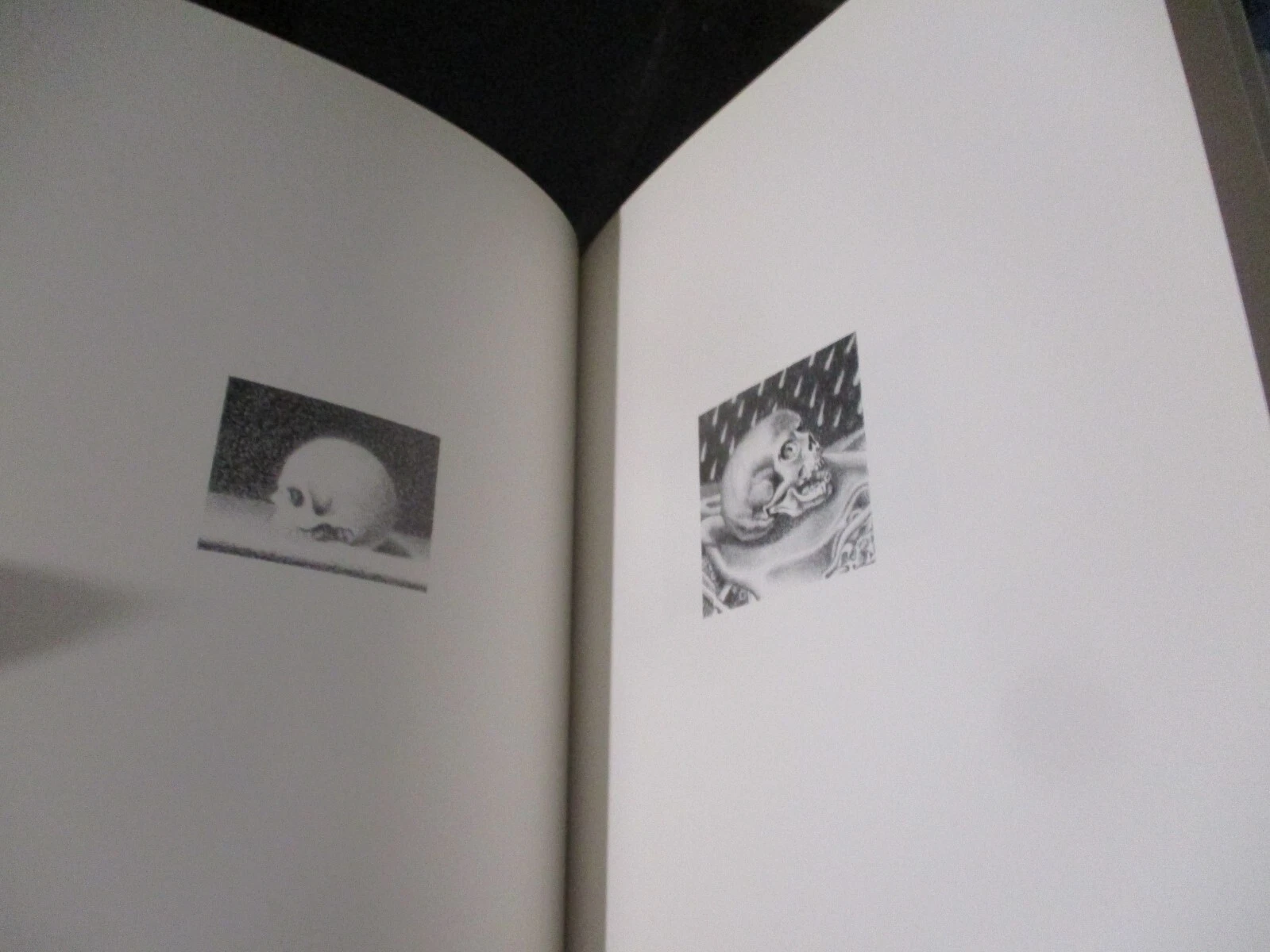 Photo 5/6