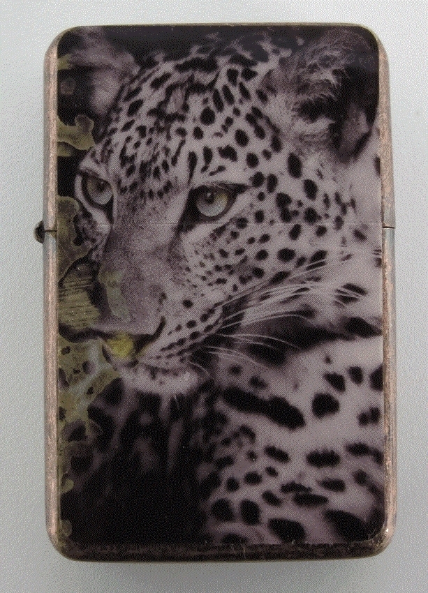 Picture 11 of 23