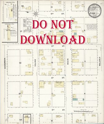 COPY 1891 Elma  Washington street map 16X20'' Poster Great Detail Historians