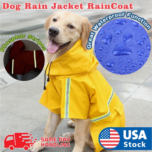 ralph lauren dog raincoat