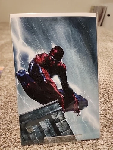 THE AMAZING SPIDER-MAN #29 2023 VIRGIN VARIANT 