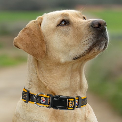 NFL Licensed Pet Collar Shiny & Colorful Adjustable Dog Collar & Cat Collar - Picture 118 of 158