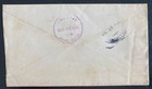 1895 Arena NY USA Advertising Cover To Griffin corners NY Worcester Salt — photo 2