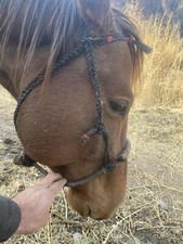 Vintage Western Hackamore Horse Hair Headstall w/ Rawhide Braided Bosal