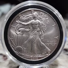 2009 American Silver Eagle Uncirculated 1oz .999 Fine Silver