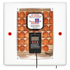 Farm Innovators 4250 Incubator, Circulated Air, Digital LCD Display with