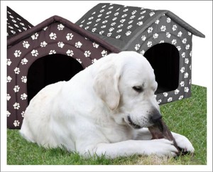 igloo dog house