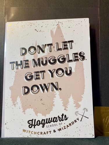 Encouragement Card Harry Potter Don’t Let The Muggles Get You Down | eBay