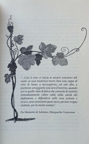 M. L. CLODOVEO, M. A. COLONNA IN VINO VERITAS RACCONTI DI UN VIAGGIO DIVINO 2016 - Picture 4 of 12