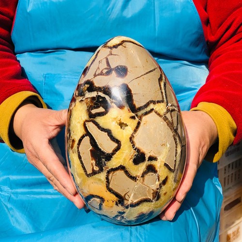 11.96LB Top Natural Dragon Septarian Crystal geode Quartz egg mineral Specimen - Picture 15 of 15