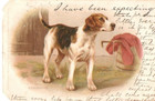 Vintage Tuck Art postcard: Foxhound Dog