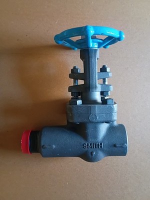 smith forged steel 1'' valve 800 lmz