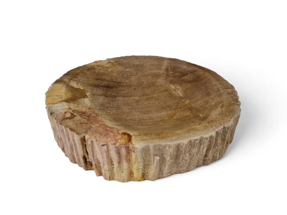 Bandeja para llaves de madera petrificada cuenco decorativo placa fósil de piedra jabonera Foto 4 de 4
