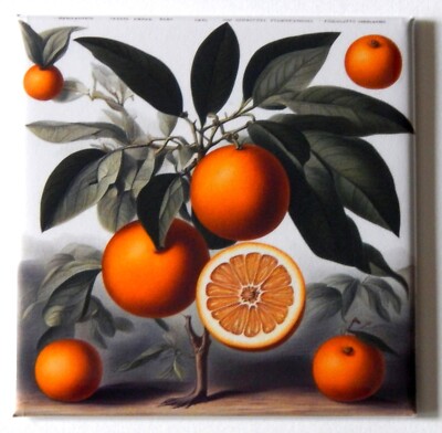 Oranges FRIDGE MAGNET sign advertisement ''style C''