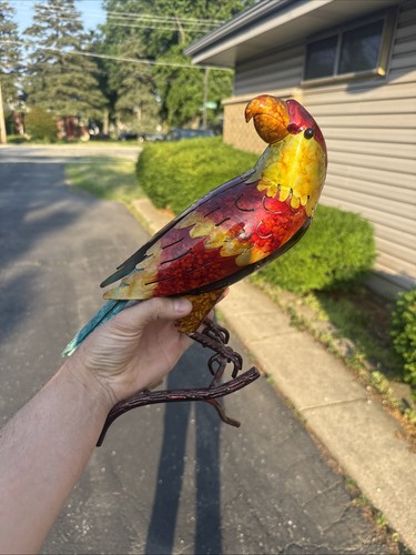 Rare Jimmy Buffet Key West Beach Macaw Parrot Margaritaville Figure 14” Metal