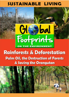 Rainforests & Deforestation, Palm Oil & Saving The Orangutan, New DVDs