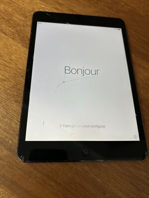 APPLE IPAD MINI 7.9