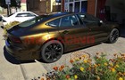 Bild 181 von 225