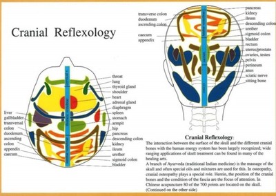 CRANIAL REFLEXOLOGY by Jan van Baarle Map Self Help Business