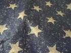 2 yds Fabric Traditions cotton quilt fabric-Patty Reed-Patriotic-silver stars
