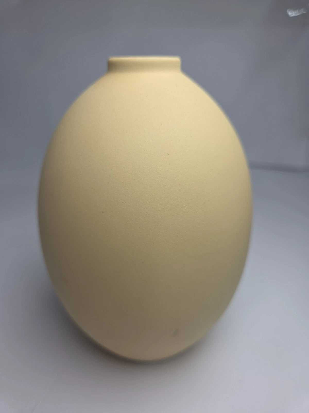Minimalist Matte Soft Yellow/ Pale Cream Ceramic Vase Egg Shaped Japandibud Vase
Opens in a new wind