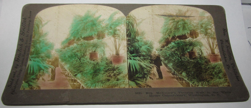 Griffith & Griffith Stereoview Photo White House Conservatory Washington D.C.