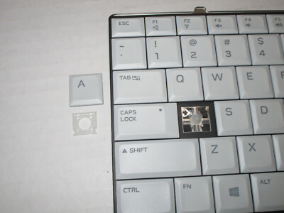 OEM Single Key Cap+Clip For Alienware Area 51M From 62W10 Model NSK-EYBBC