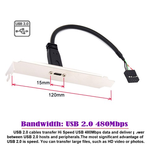 CABLECY Single USB 3.1 Type C USB-C Female to USB 2.0 Cable Motherboard 9pin 10p - Picture 4 of 8