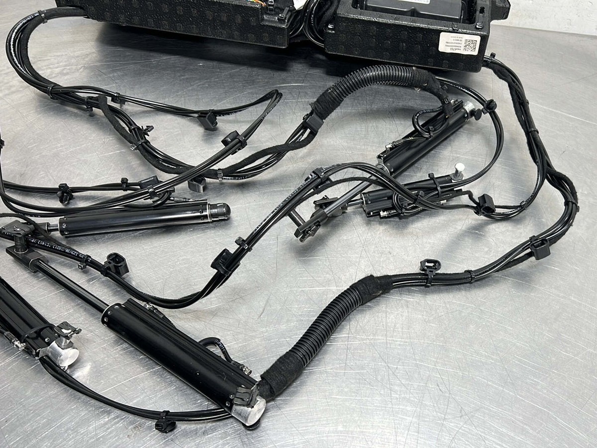 クリアランス人気 - 激レア マルセロブロン ロンT - 高価買蔵:6543円