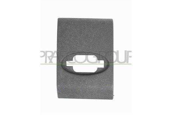 Prasco Zier-/Schutzleiste, TüR Hinten, Links U.A. FüR Opel, Renault-image
