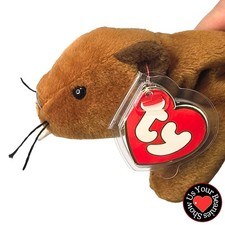 Ty Beanie Baby Bucky The Beaver MWMT-MQ 3rd Generation Hang Tag 2nd Gen Tush Tag