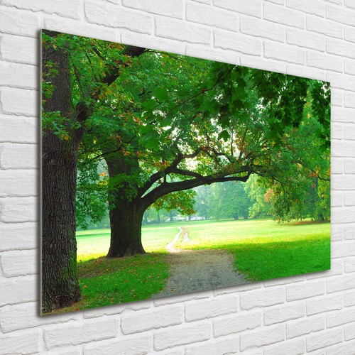 Tulup Image Sur Verre Acrylique Tableaux 100x50 - Panorama De La For?t