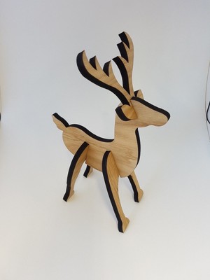 3D Hirsch 