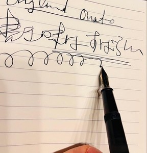 Fountain Pen Onoto | eBay