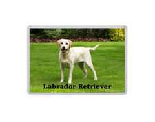 Labrador Retriever - Dog Large Fridge Magnet - Pet Animal Novelty Gift