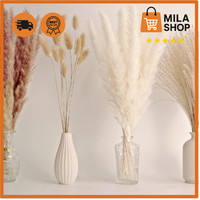 Pampasgras Deko 65 Stueck Pampas Schilf Hasenschwanz Boho Trockenblumen