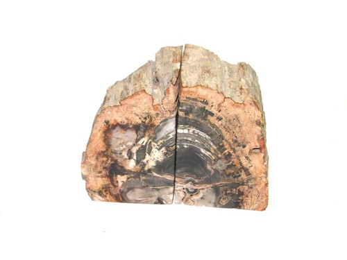 Petrified Wood Bookend Set 7 lb Large Polished Rock Book End Pair