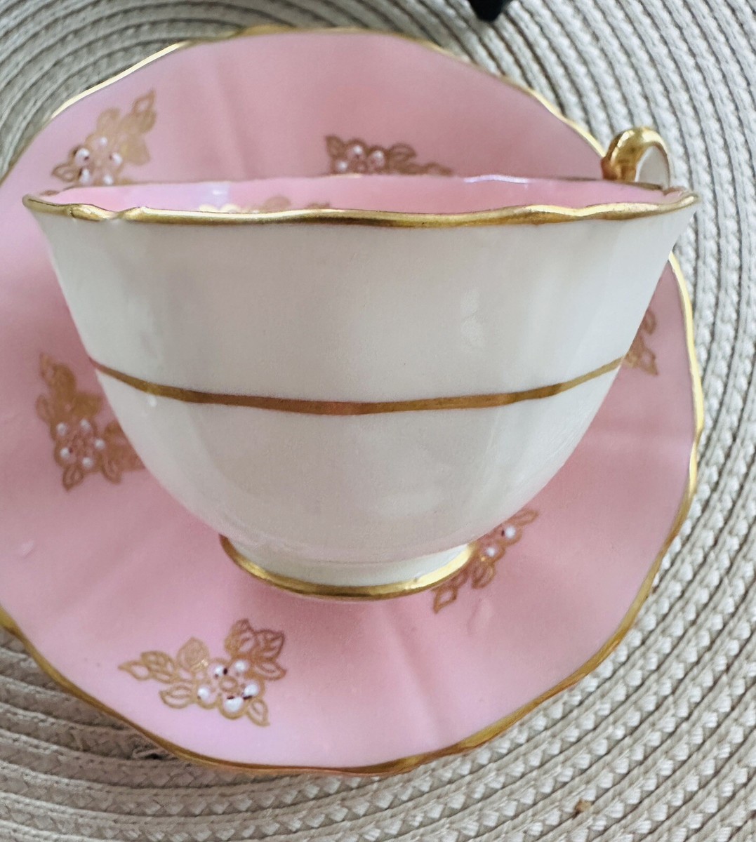 ケンティッシュロッキー  ロイヤルアダレイ ケンティッシュロッキー ロイヤルアダレイ