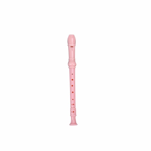 8-hole Recorder Music Soprano Descant Cleaning Rod Instrument with Colorful - Picture 13 of 14