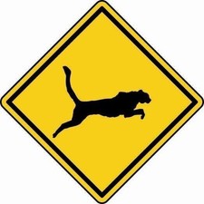 Aufkleber Achtung Jaguar 20 x 20 cm Autoaufkleber Sticker