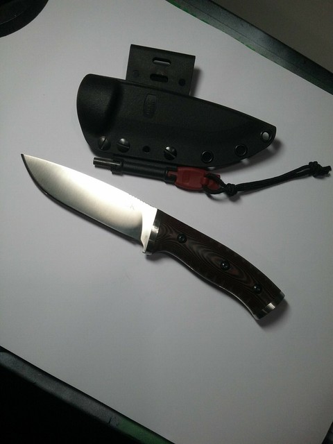 Buck Knives 0863BRS 2.5 inch Fixed Blade Knife for sale online | eBay