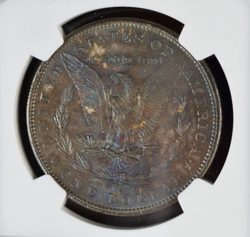 1879 S Morgan Silver $1 Dollar NGC MS64 Monster Toned Toning