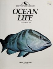 Ocean Life Hardcover Outlet Book Company Staff